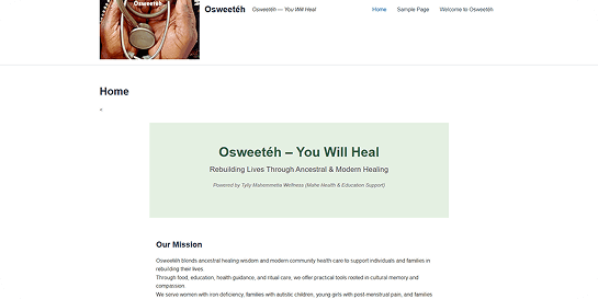 Local business website before SEO optimization